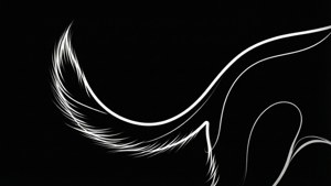Line Art Tail