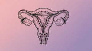 Line Art Uterus