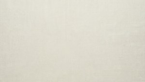Linen Texture