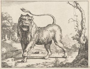 Lion