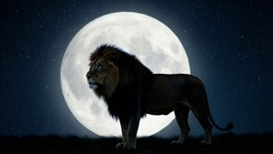 Lion and Moon