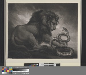 Lion and Snake