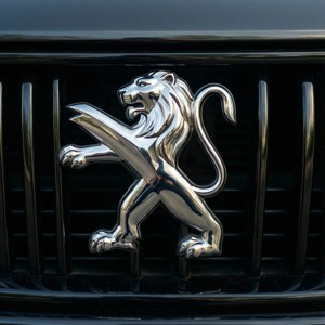Lion Emblem Detail
