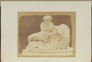 Lion in Love