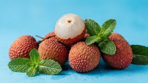 Litchi Mint Fresh