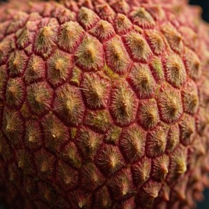 Litchi Skin Macro