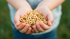 Little Hand Cheerios