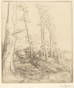 Little Pond (La petite mare)