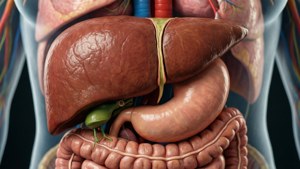 Liver and Pancreas Focus