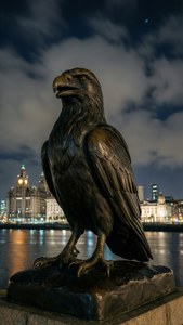 Liver Bird Nightscape