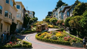 Lombard Street Flowers