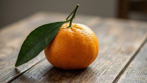 Lone Mandarin on Wood