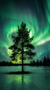 Lone Pine Aurora