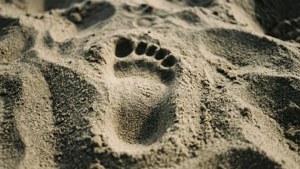Lonely Footprint