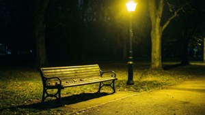 Lonely Night Bench