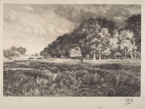 Long Island Landscape