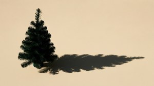 Long Shadow Silhouette