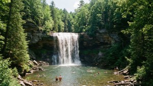 Looking Glass Falls