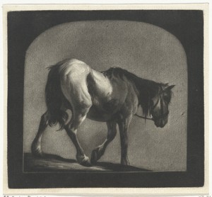 Lopend paard