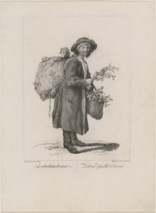 Lorberbläterkrämer (Bay Leaf Seller)