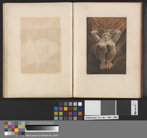 Los Falls through Fire (Plate 21)