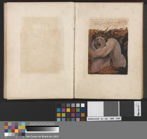 "Los howld in a dismal stupor..." (Plate 10)