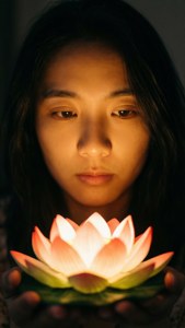 Lotus Lamp Glow