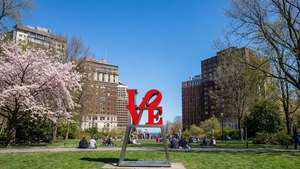 Love Park Spring Cherry Blossoms