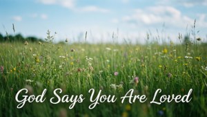 Loved in Meadow