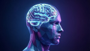Low-Poly Brain Thinker
