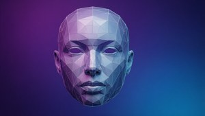 Low-Poly Face Mesh