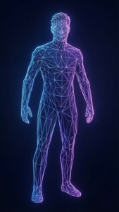 Low Poly Person Outline