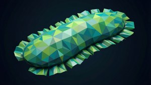 Low Poly Planarian