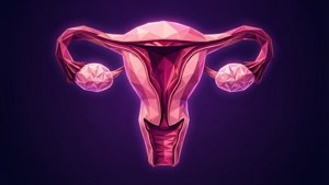 Low-Poly Uterus