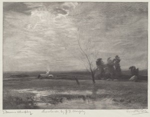 Lowlands