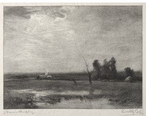 Lowlands