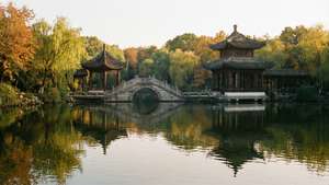 Luhu Lake Autumn