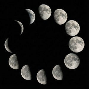Lunar Phase Cycle