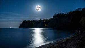 Lunar Silhouette