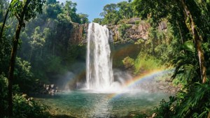 Lush Waterfall Rainbow