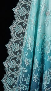 Luxurious Silver Lace