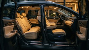 Luxury Interior Reveal