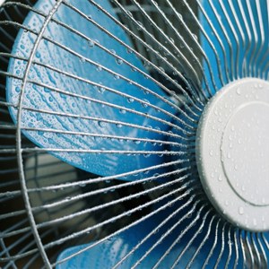 Macro Fan with Water Drops