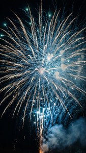 Macro Firework Burst