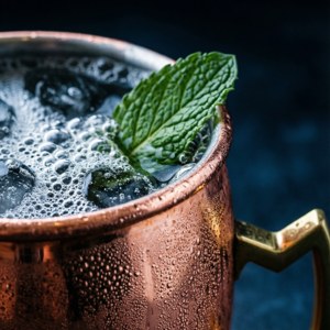 Macro Mule Details