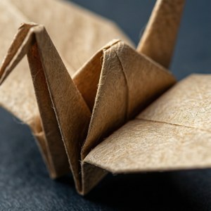 Macro Paper Texture