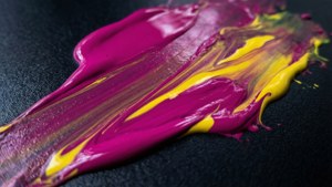 Magenta Yellow Blend