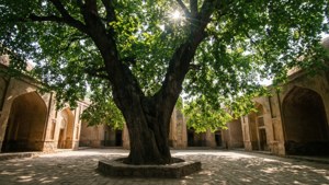 Maghoki Attar Courtyard
