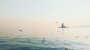 Maiden's Tower Morning