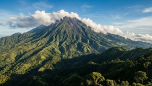 Majestic Mount Cameroon